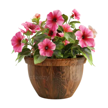 a pot with pink flowers in it