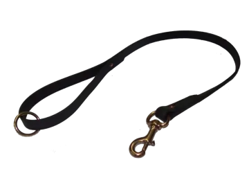 a black leather leash with brass hardware