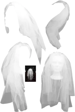 a white veil with two layers of tulle