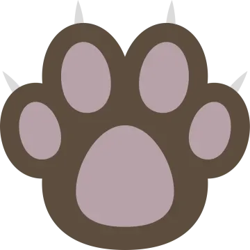 a brown bear paw with long claws