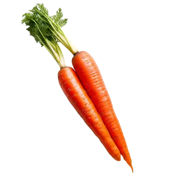 two carrots on a white background