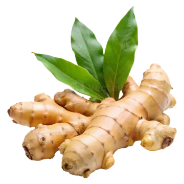a bunch of ginger root with green leaves