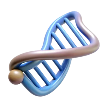 a 3d model of a dna molecule