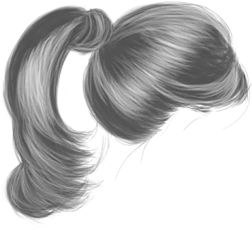 a black and white drawing of a ponytail