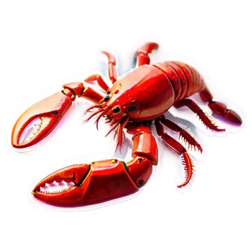 a red crab on a white surface
