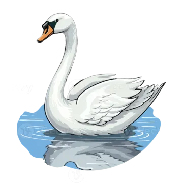 a white swan swimming in the water