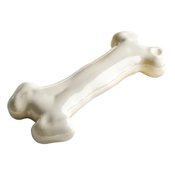 a bone bone on a white background