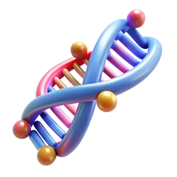 a 3d model of a dna molecule