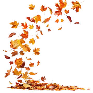 a bunch of autumn leaves flying in the air