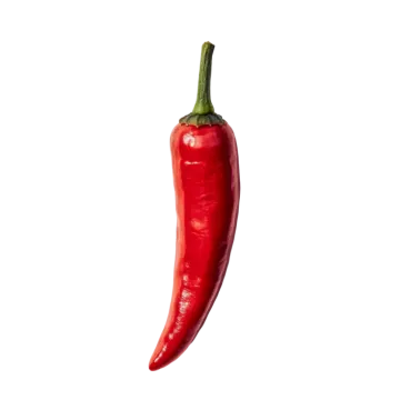 a red hot pepper on a white background