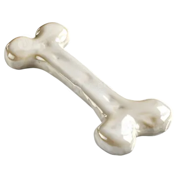 A bone on a white background