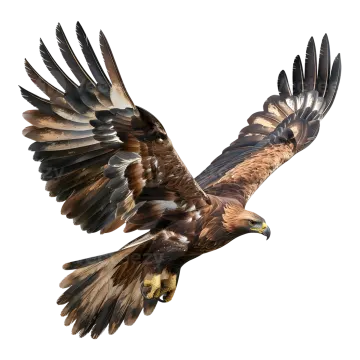 a large bird flying in the air