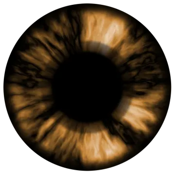 an image of a brown eye