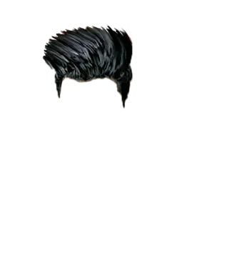 a drawing of a black bird on a white background