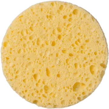 a piece of cheese on white background