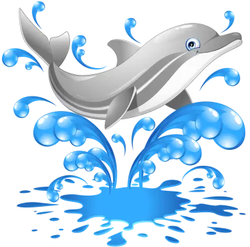 a dolphin jumping out of the water