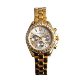 an image of a women's watch
