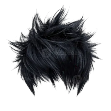 an image of a black furryy hair