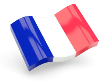 the french flag on a white background
