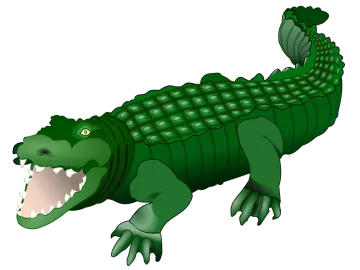 an alligator with its mouth open
