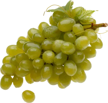 a bunch of grapes on a white background