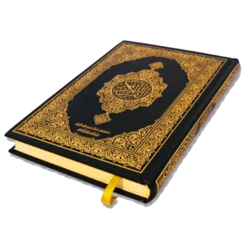 a black and gold book with an intricate design