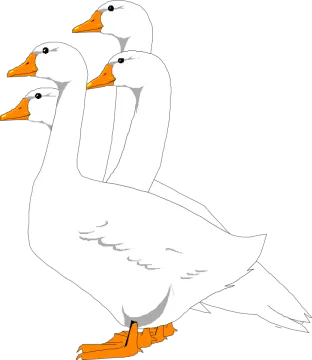 how to draw a pair of ducks