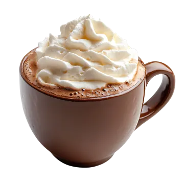 a cup of hot chocolate and whipped cream
