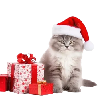 a cat wearing a santa hat next to presents