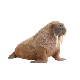 a seal with its mouth open sitting on the ground