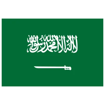 the saudi flag
