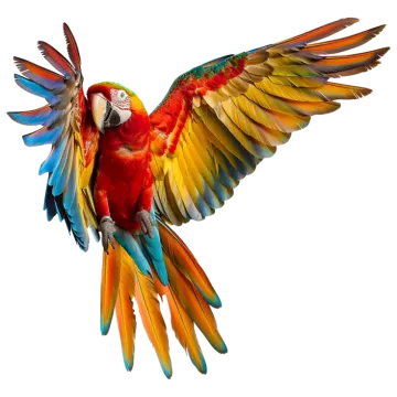 a colorful parrot flying in the air