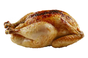 a whole chicken on a white background