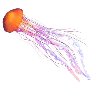 a jellyfish is swimming in the water