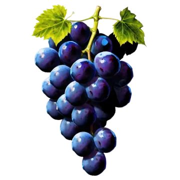 a bunch of grapes on a white background