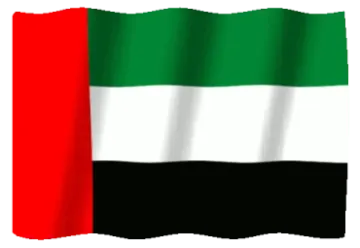 the flag of the united
