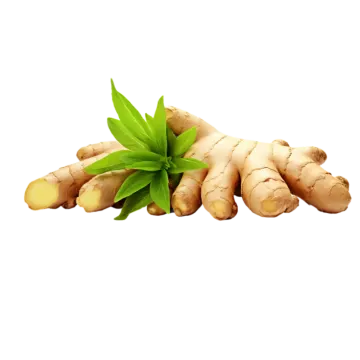 a pile of ginger root with green leaves
