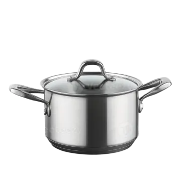 a stainless steel sauce pot with lid