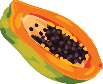 a papan cut in half with seeds inside