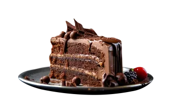 a piece of chocolate cake on a plate