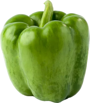 a green pepper on a white background