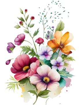 a bouquet of colorful flowers on a white background