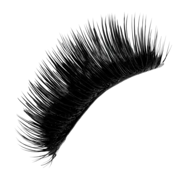 a close up of eyelashes on a white background