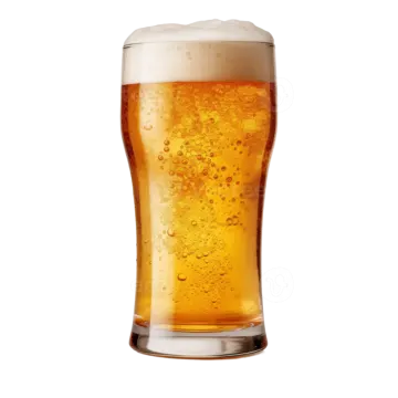 a glass of beer on a white background