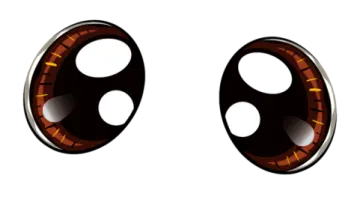 a pair of brown and black earrings