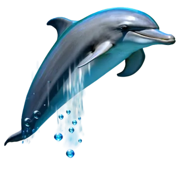 a dolphin is jumping out of the water