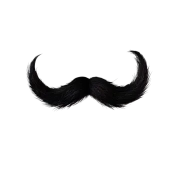 a black mustache on a white background