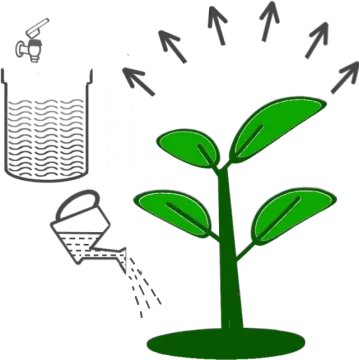 an image of a plant with water coming out of it