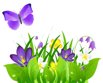 a bunch of flowers and a butterfly