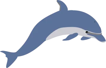 a dolphin jumping in the air